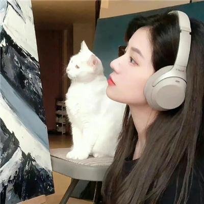 大追捕